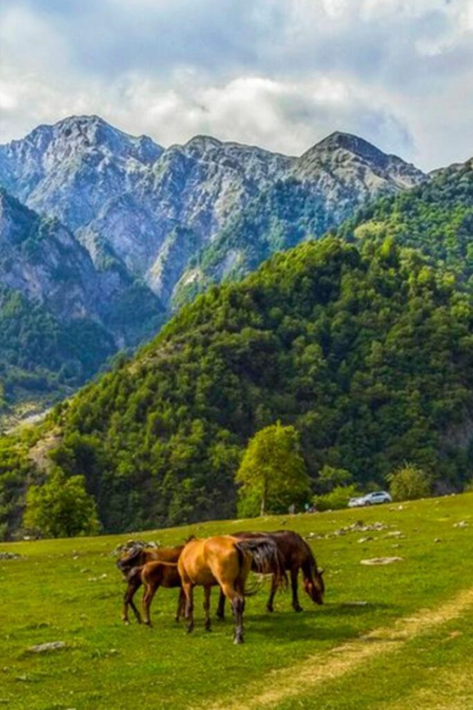 Things to Do in Gabala