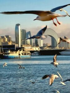 The Caspian Sea's Influence on Azerbaijan