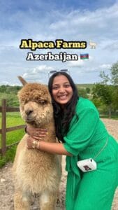 Alpaca Farm Azerbaijan