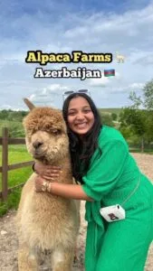 Alpaca Farm Azerbaijan