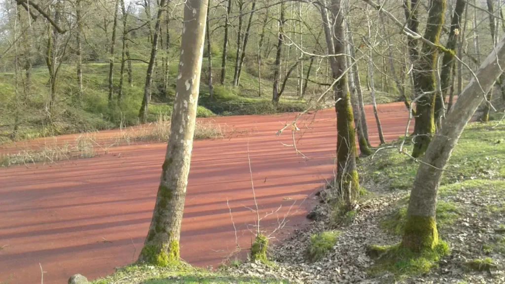 Ancient forest and scenic road in Hirkan National Park near Lankaran, Azerbaijan