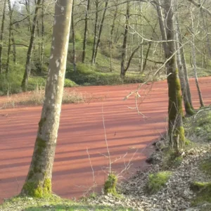 Ancient forest and scenic road in Hirkan National Park near Lankaran, Azerbaijan