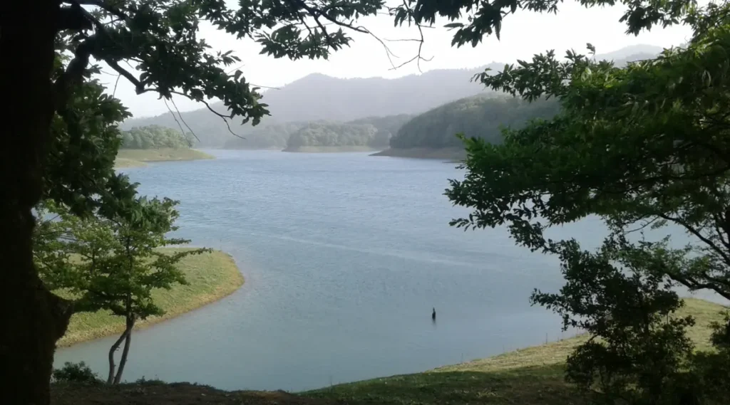 Forest lake surrounded by the green mountains of Hirkan National Park near Lankaran
