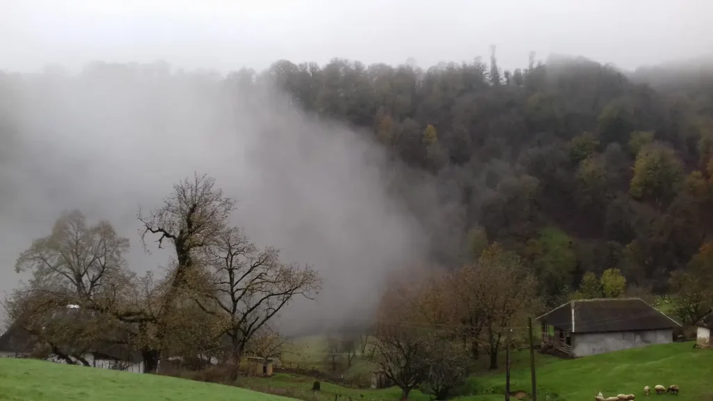 Misty mountain forest and rural landscape in Hirkan National Park, Azerbaijan