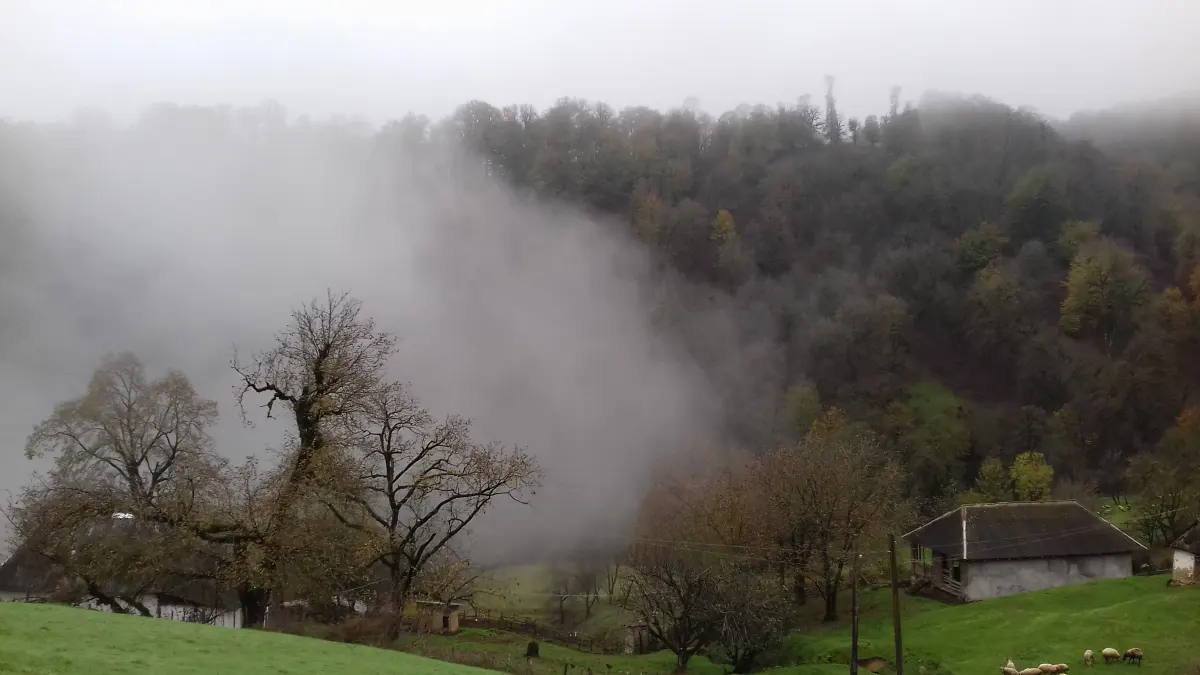 Misty mountain forest and rural landscape in Hirkan National Park, Azerbaijan