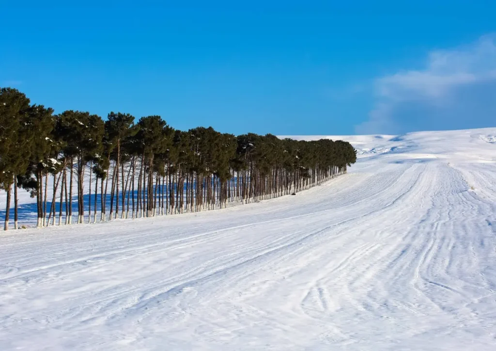 Snow-covered forest and mountain landscape in Shahdag
